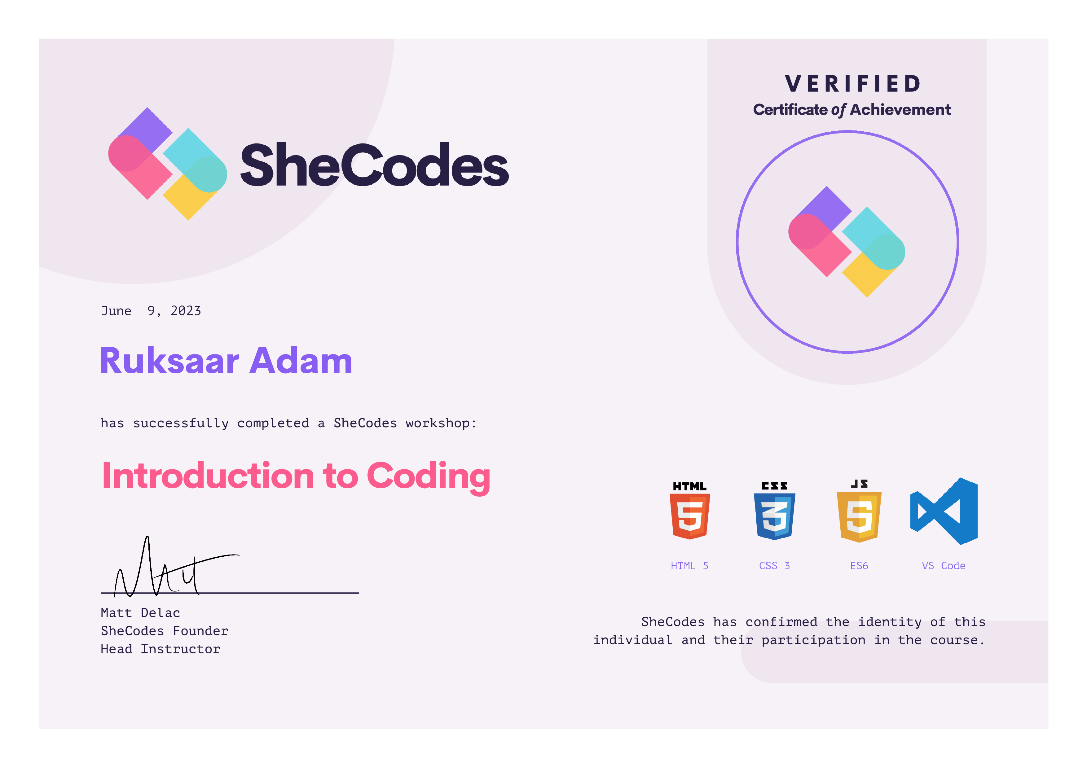 shecodes basics